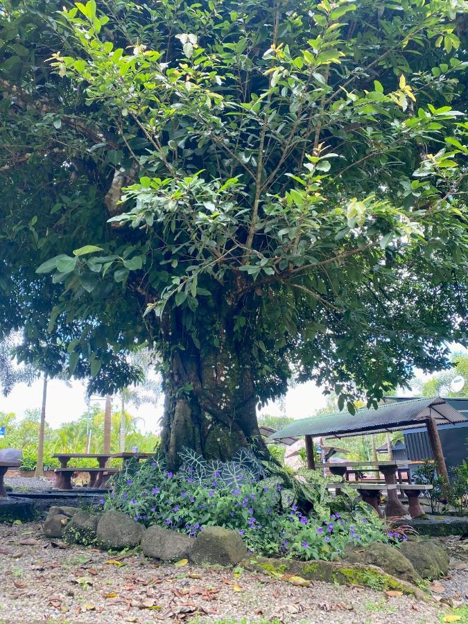 Termales Del Arenal Hotel La Fortuna Ngoại thất bức ảnh